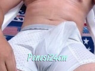 Penesi24cm