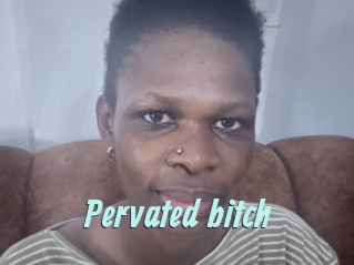 pervated_bitch Ton Show