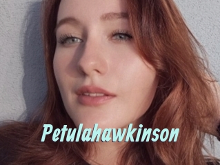 Petulahawkinson