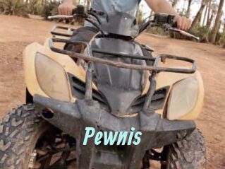 Pewnis