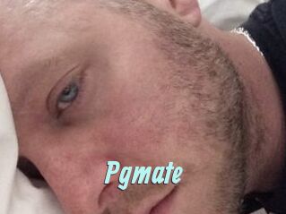 Pgmate