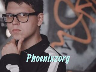 Phoenixzorg