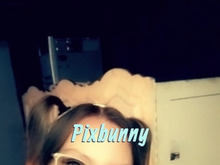 Pixbunny