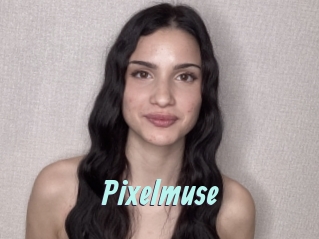 Pixelmuse