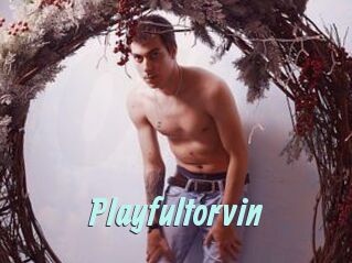 Playfultorvin