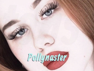 Pollynaster