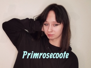 Primrosecoote