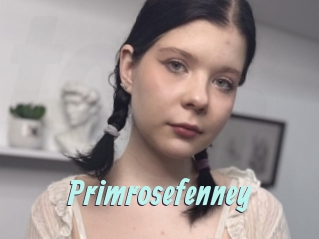 Primrosefenney