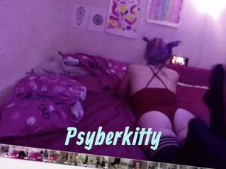 Psyberkitty