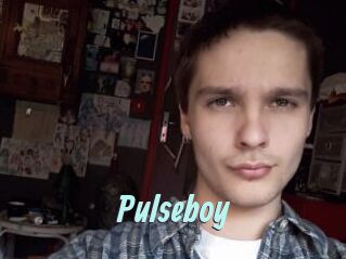 Pulseboy