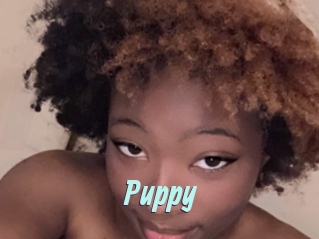 Puppy