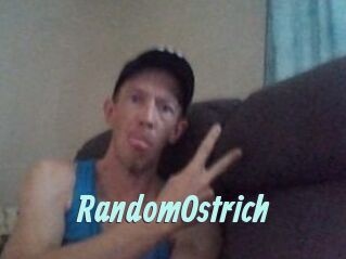 RandomOstrich