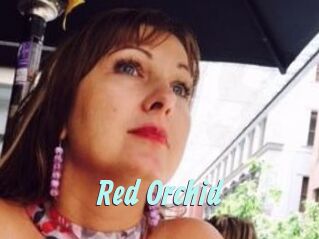 Red_Orchid