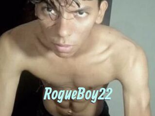 RogueBoy22