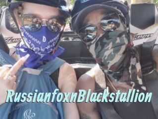 RussianfoxnBlackstallion