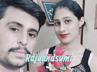 Rajuandsumi