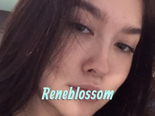 Reneblossom