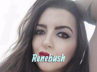 Renebush