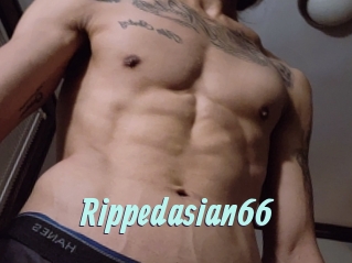 Rippedasian66