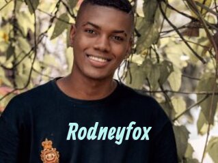 Rodneyfox