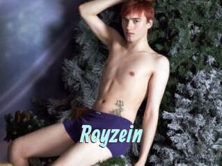 Royzein