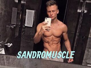 SANDRO_MUSCLE