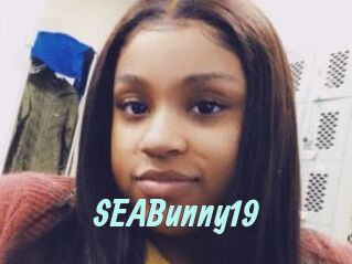 SEABunny19