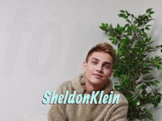 SheldonKlein