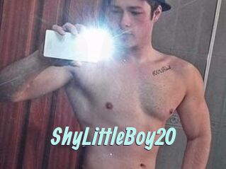 ShyLittleBoy20
