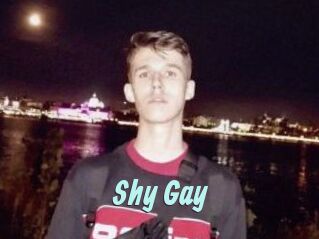 Shy_Gay