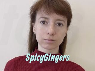 SpicyGingers