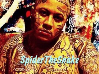 SpiderTheSnake
