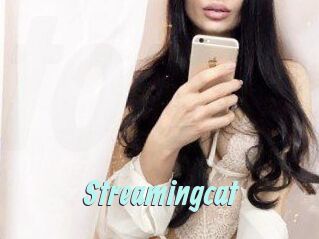 Streamingcat