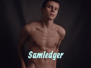 Samledger