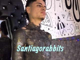 Santiagorabbits