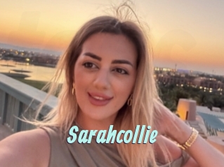 Sarahcollie