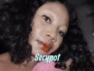 Secypot