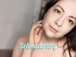 Selenacartery