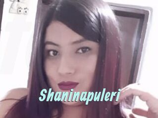 Shaninapuleri