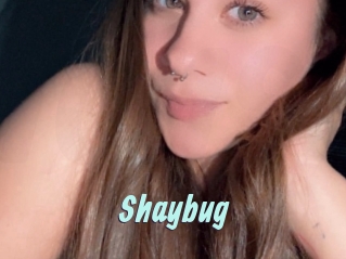Shaybug