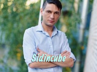 Sid_incube