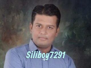 Siliboy7291