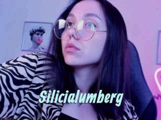 Silicialumberg