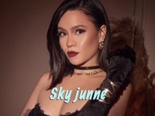 Sky_junne