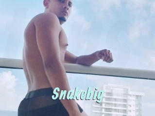 snakebig Ton Show
