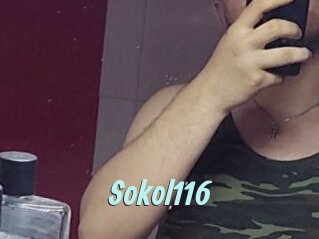 Sokol116