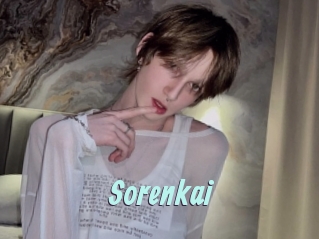 sorenkai Ton Show