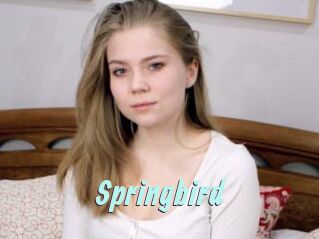 Springbird