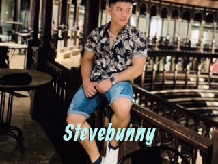 stevebunny Ton Show