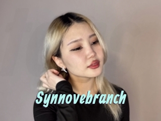 Synnovebranch